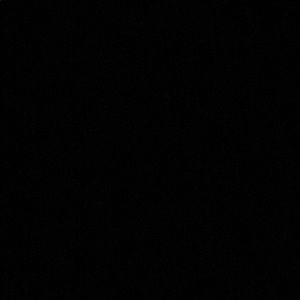 Meet your Posher, Shanel